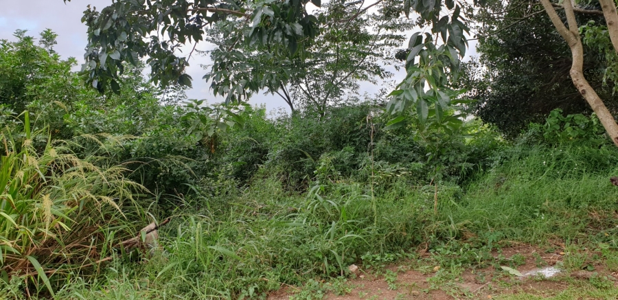 Commercial Property for Sale in Palm Lakes Estate KwaZulu-Natal