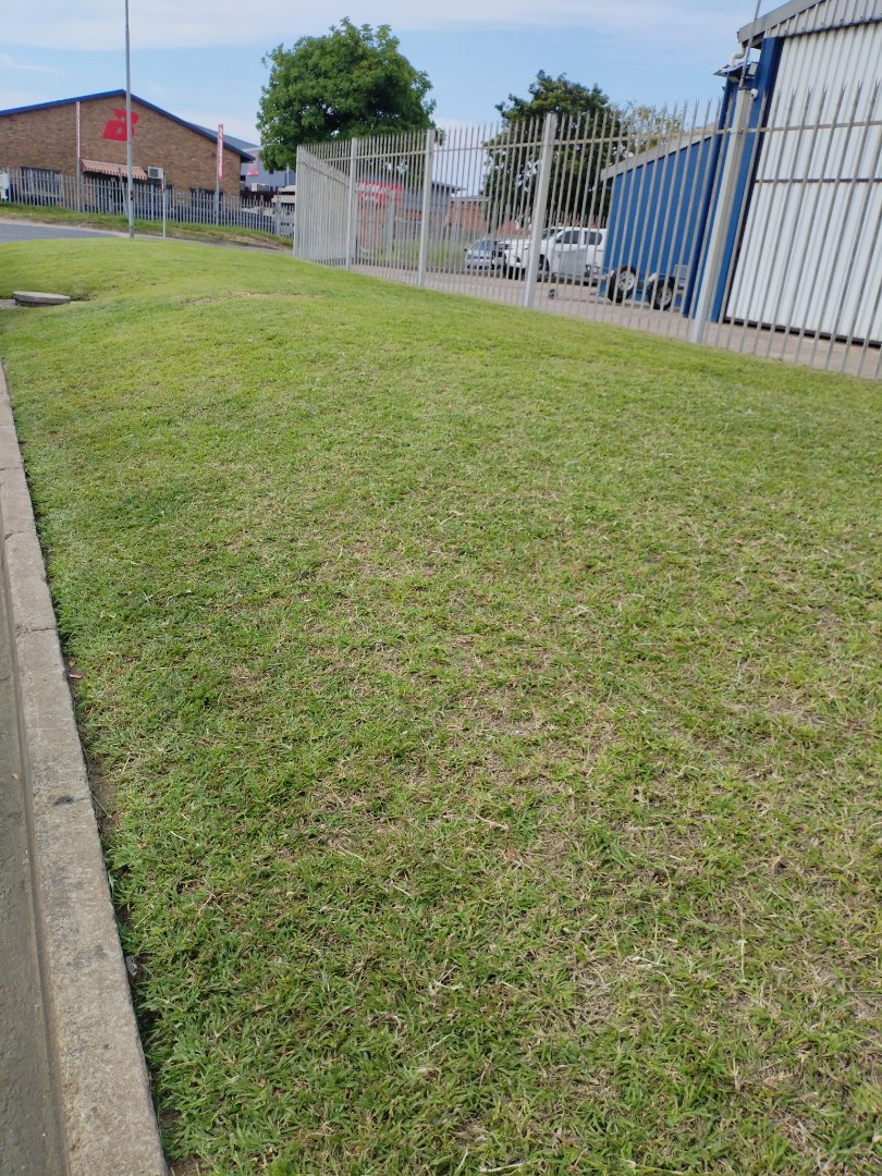 Commercial Property for Sale in Alton KwaZulu-Natal