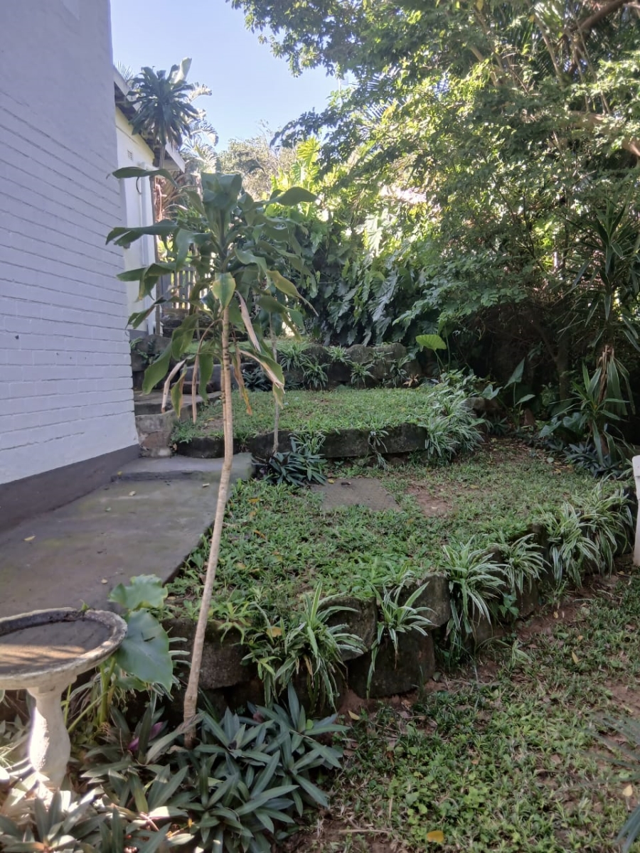 To Let 3 Bedroom Property for Rent in St Winifreds KwaZulu-Natal