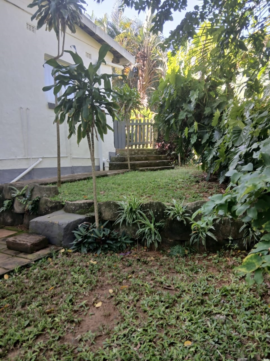 To Let 3 Bedroom Property for Rent in St Winifreds KwaZulu-Natal