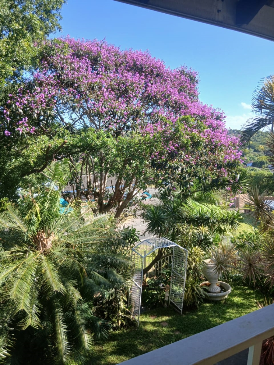To Let 3 Bedroom Property for Rent in St Winifreds KwaZulu-Natal