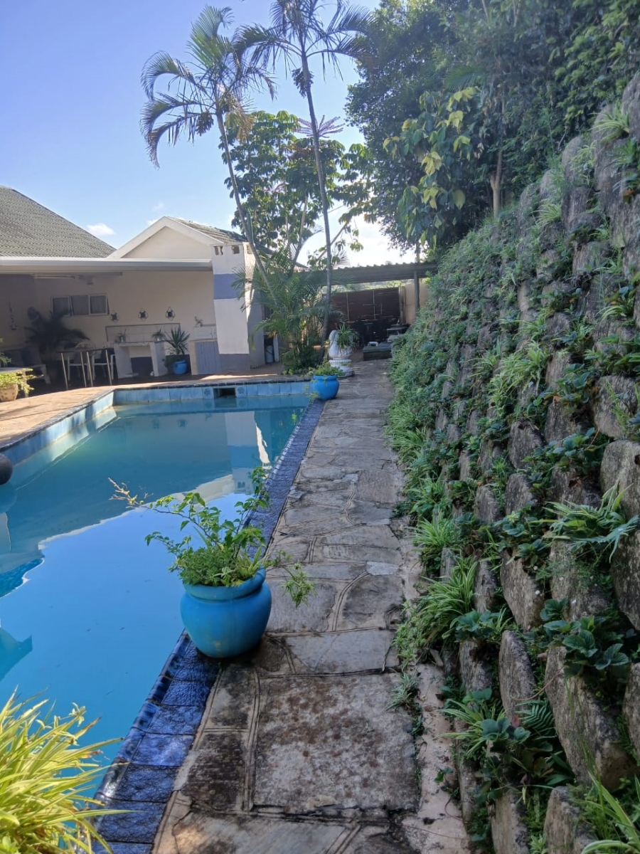 To Let 3 Bedroom Property for Rent in St Winifreds KwaZulu-Natal