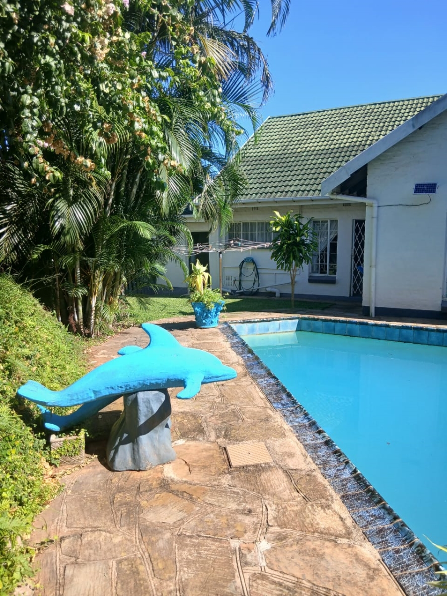 To Let 3 Bedroom Property for Rent in St Winifreds KwaZulu-Natal