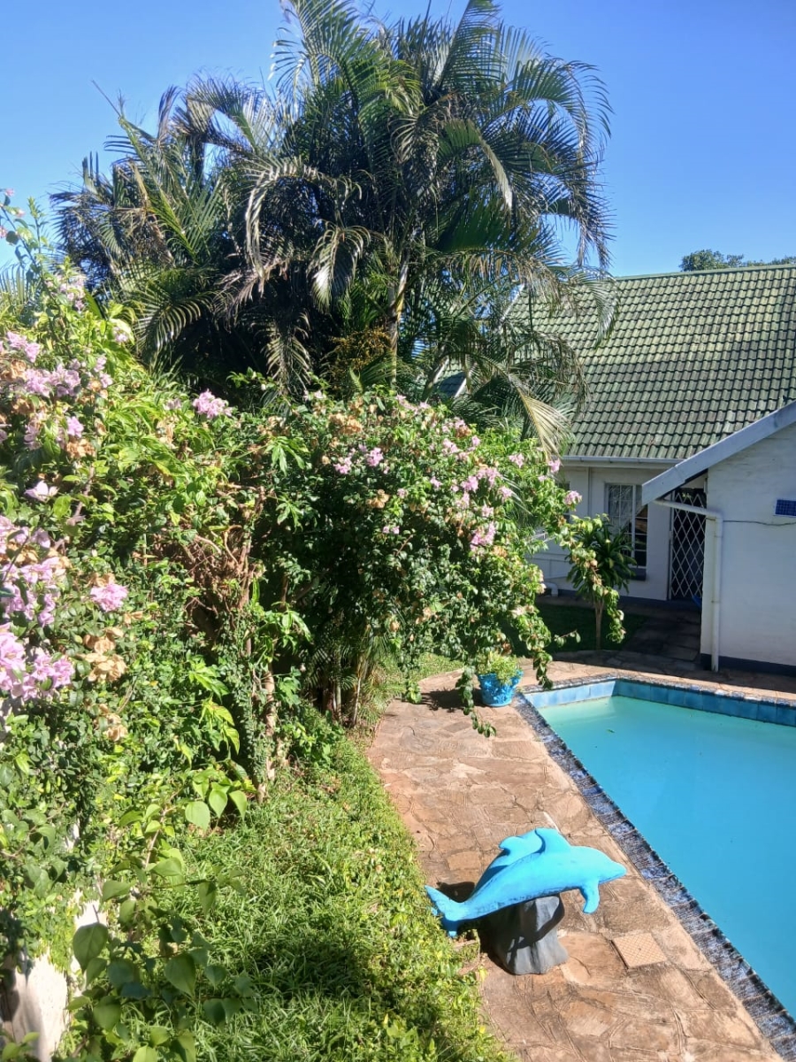 To Let 3 Bedroom Property for Rent in St Winifreds KwaZulu-Natal