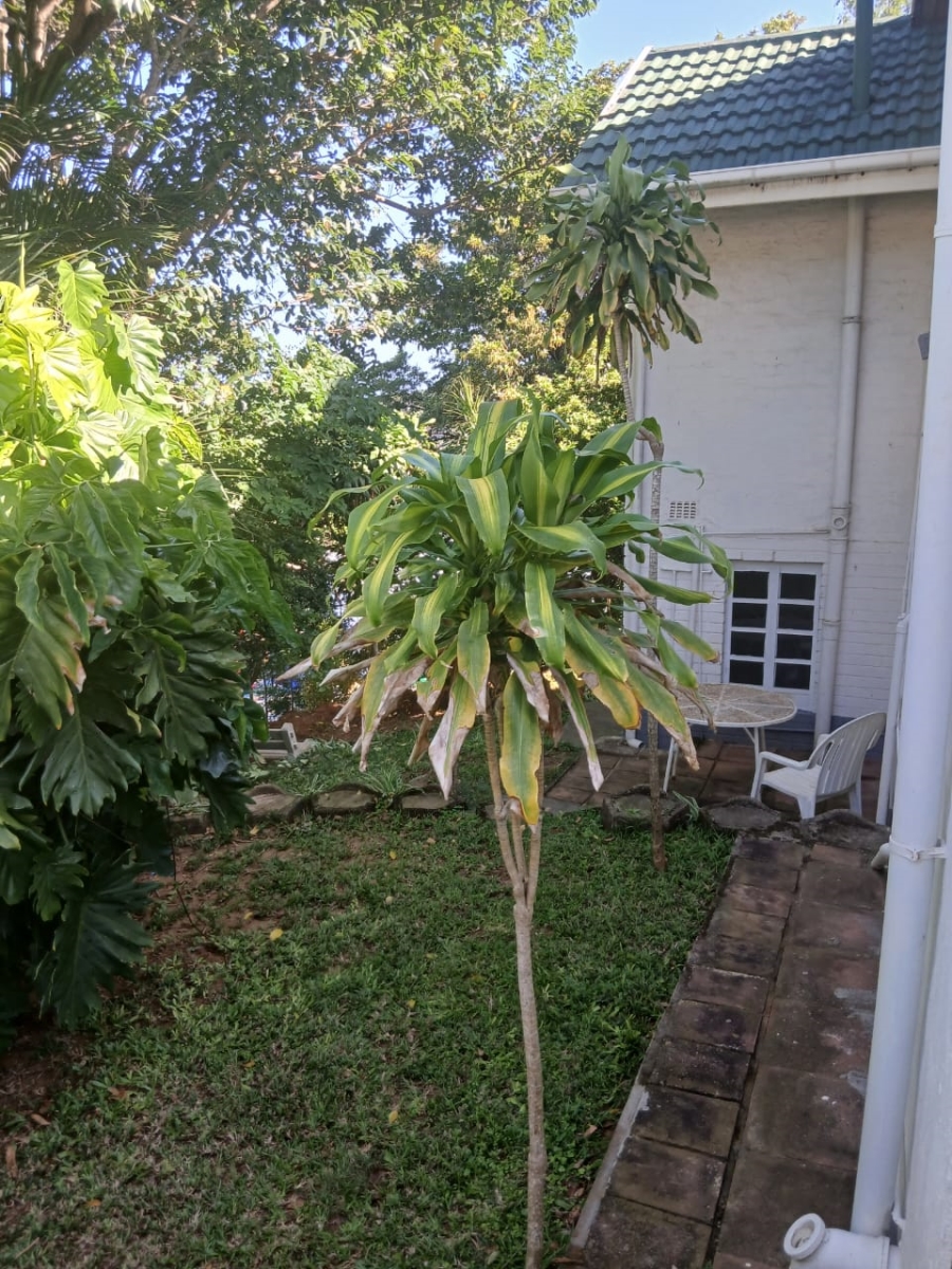 To Let 3 Bedroom Property for Rent in St Winifreds KwaZulu-Natal