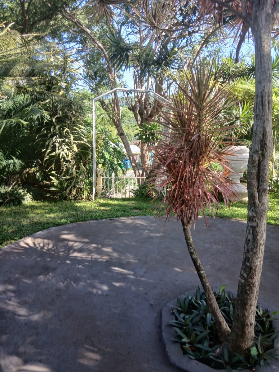 To Let 3 Bedroom Property for Rent in St Winifreds KwaZulu-Natal