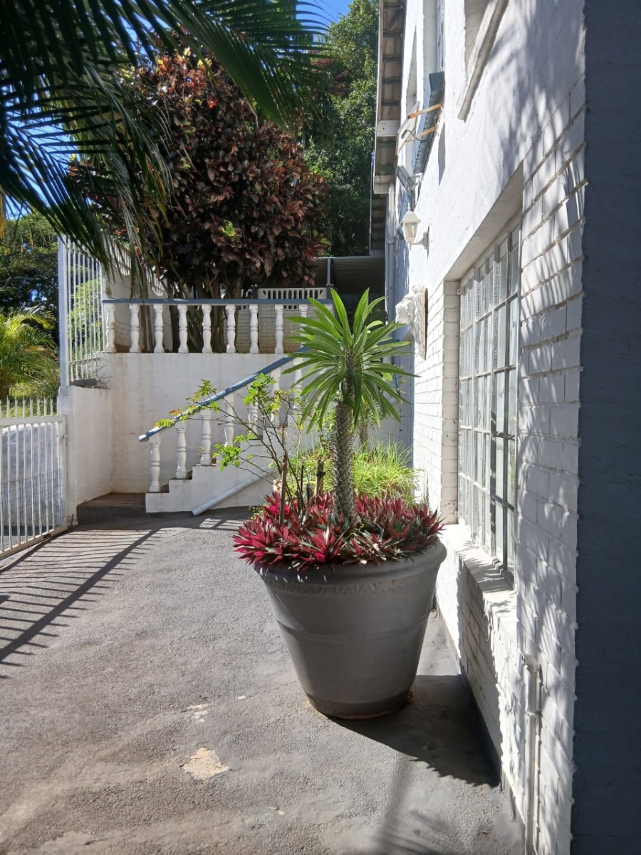 To Let 3 Bedroom Property for Rent in St Winifreds KwaZulu-Natal