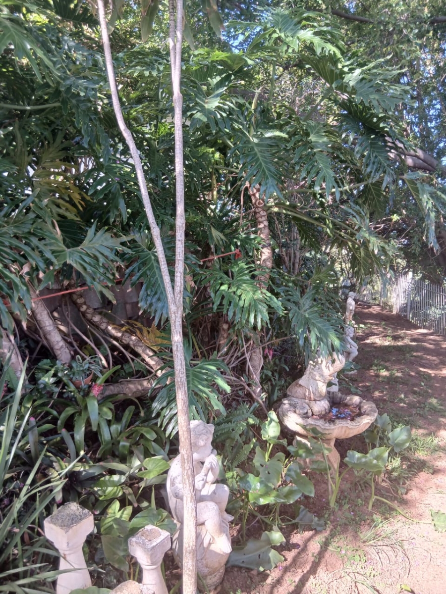 To Let 3 Bedroom Property for Rent in St Winifreds KwaZulu-Natal