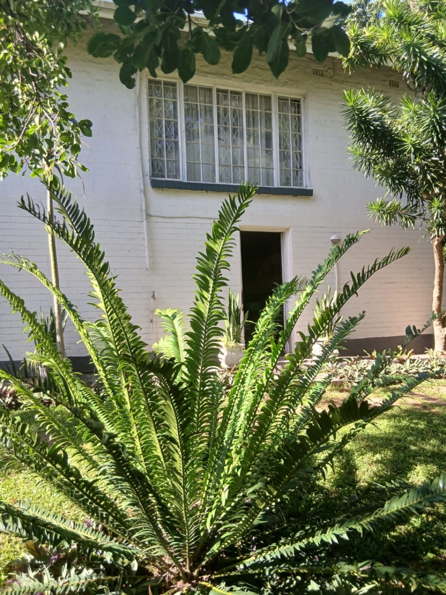 To Let 3 Bedroom Property for Rent in St Winifreds KwaZulu-Natal