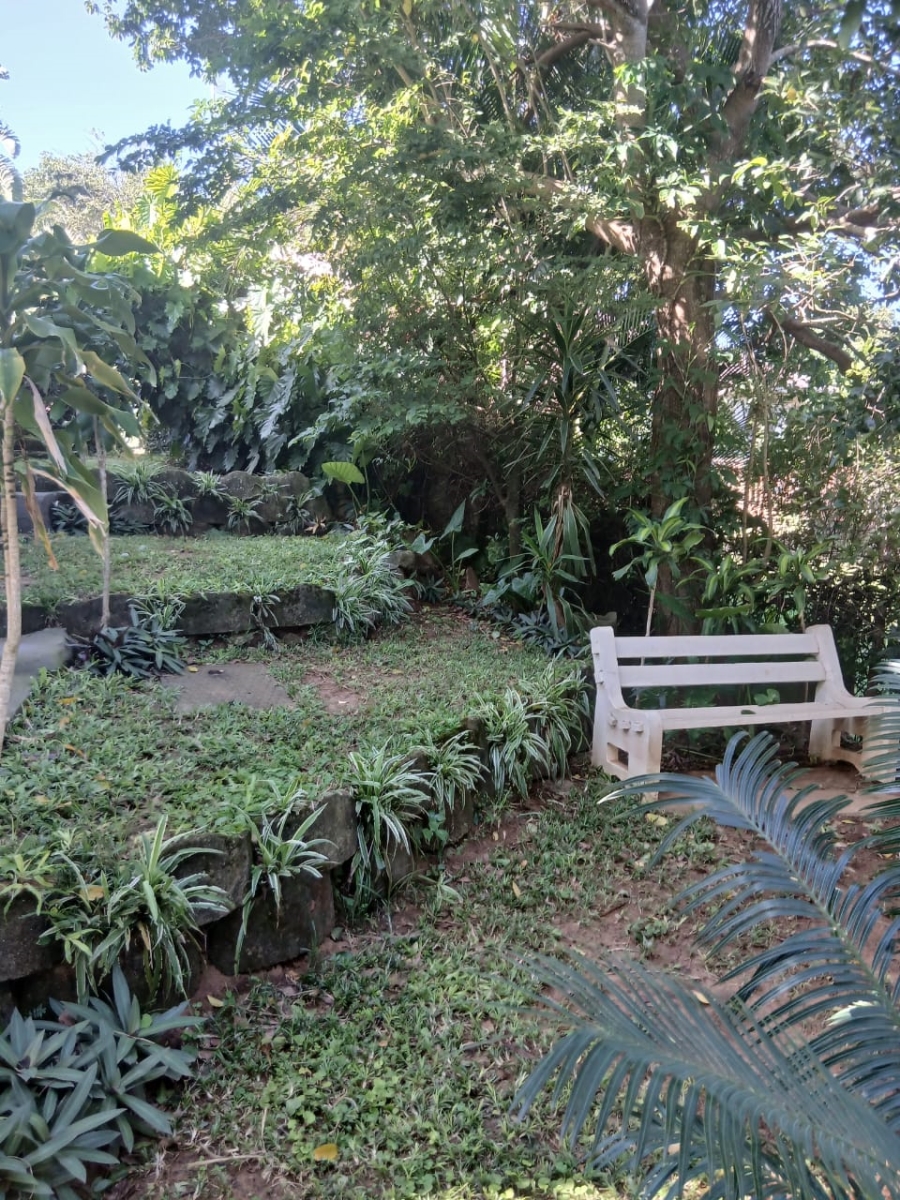 To Let 3 Bedroom Property for Rent in St Winifreds KwaZulu-Natal