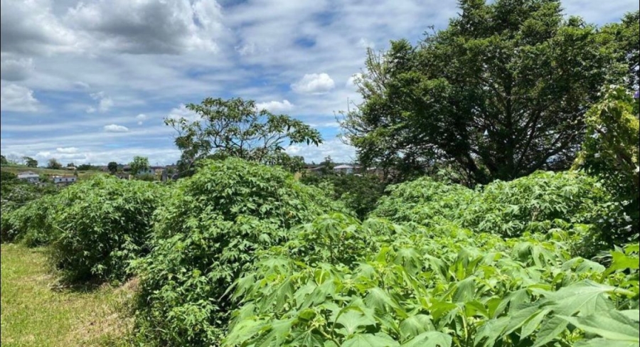 Commercial Property for Sale in Clermont KwaZulu-Natal