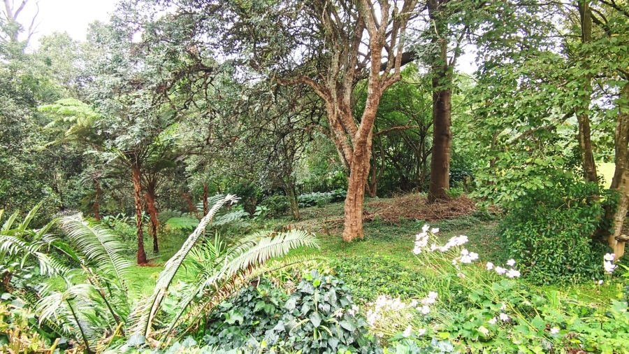 5 Bedroom Property for Sale in Hilton Central KwaZulu-Natal