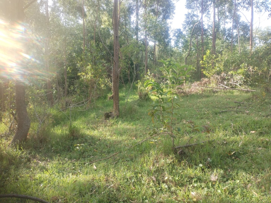 Commercial Property for Sale in Ongoye KwaZulu-Natal