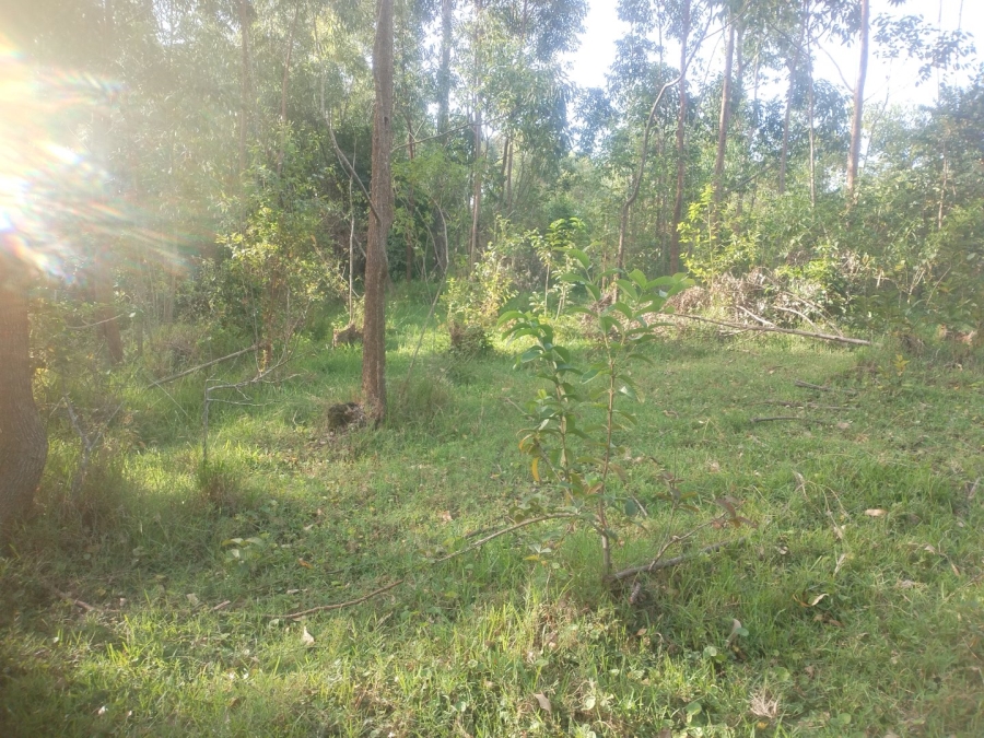 Commercial Property for Sale in Ongoye KwaZulu-Natal