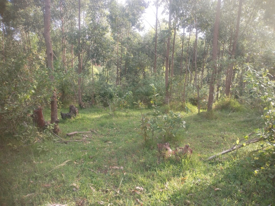 Commercial Property for Sale in Ongoye KwaZulu-Natal