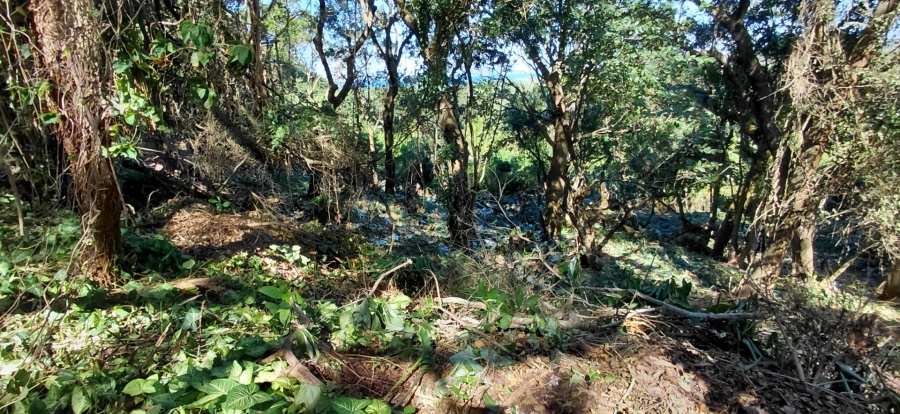 Commercial Property for Sale in Umzumbe KwaZulu-Natal