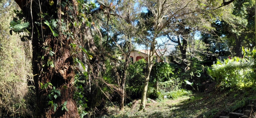Commercial Property for Sale in Umzumbe KwaZulu-Natal