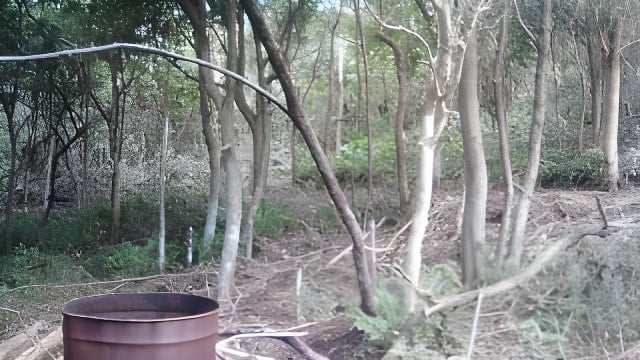 Commercial Property for Sale in Palm Beach KwaZulu-Natal