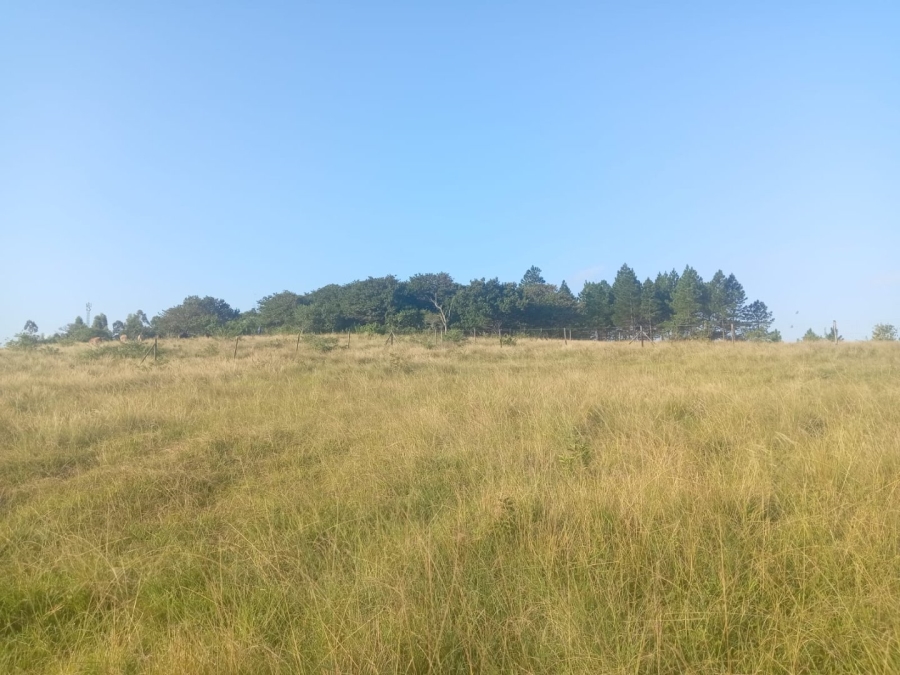 Commercial Property for Sale in Ongoye KwaZulu-Natal