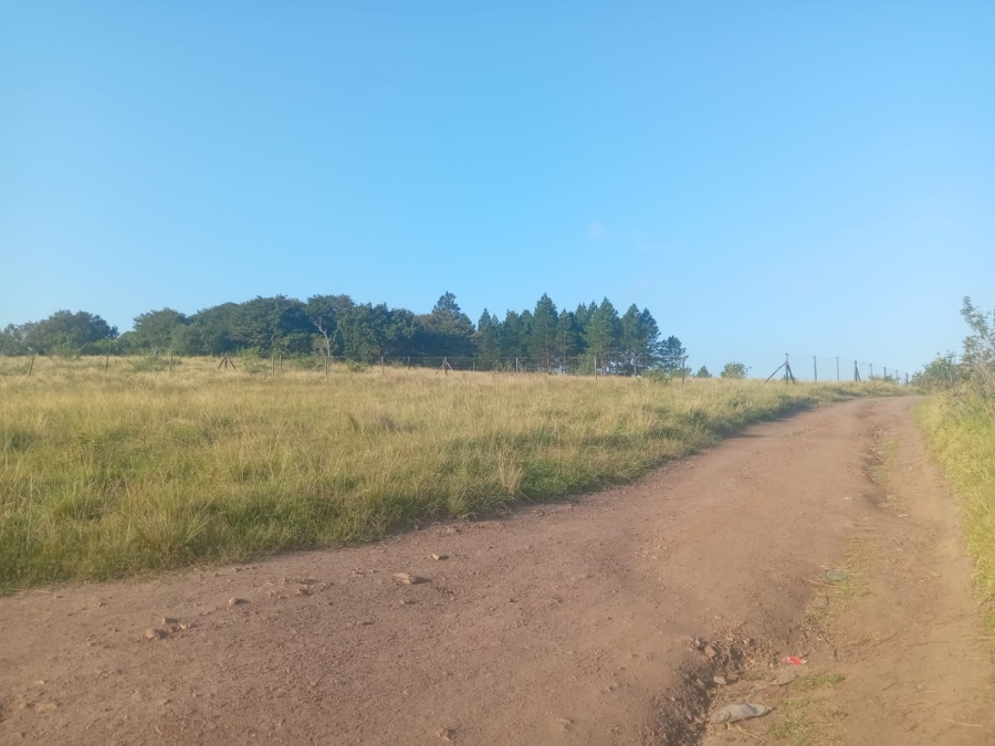 Commercial Property for Sale in Ongoye KwaZulu-Natal