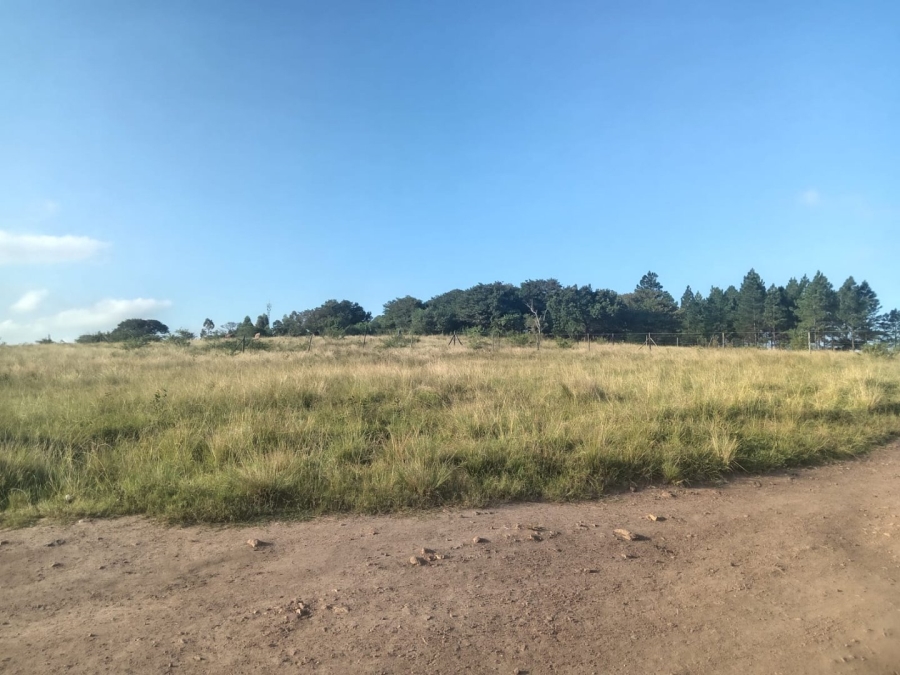 Commercial Property for Sale in Ongoye KwaZulu-Natal
