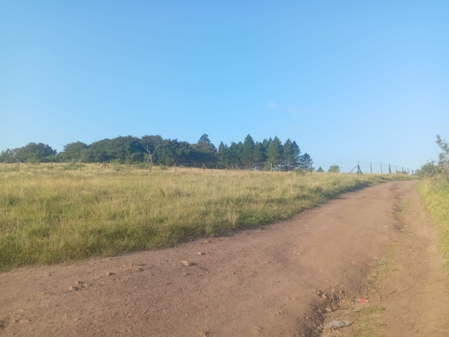 Commercial Property for Sale in Ongoye KwaZulu-Natal