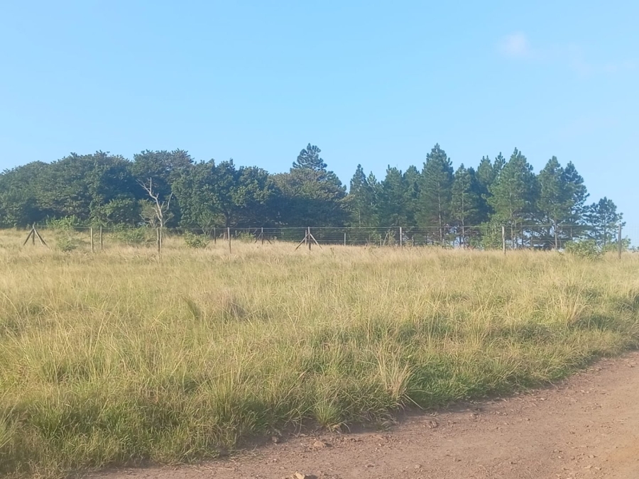 Commercial Property for Sale in Ongoye KwaZulu-Natal