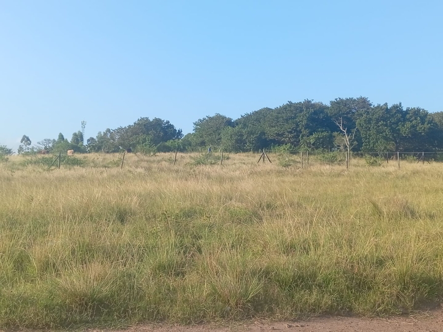 Commercial Property for Sale in Ongoye KwaZulu-Natal