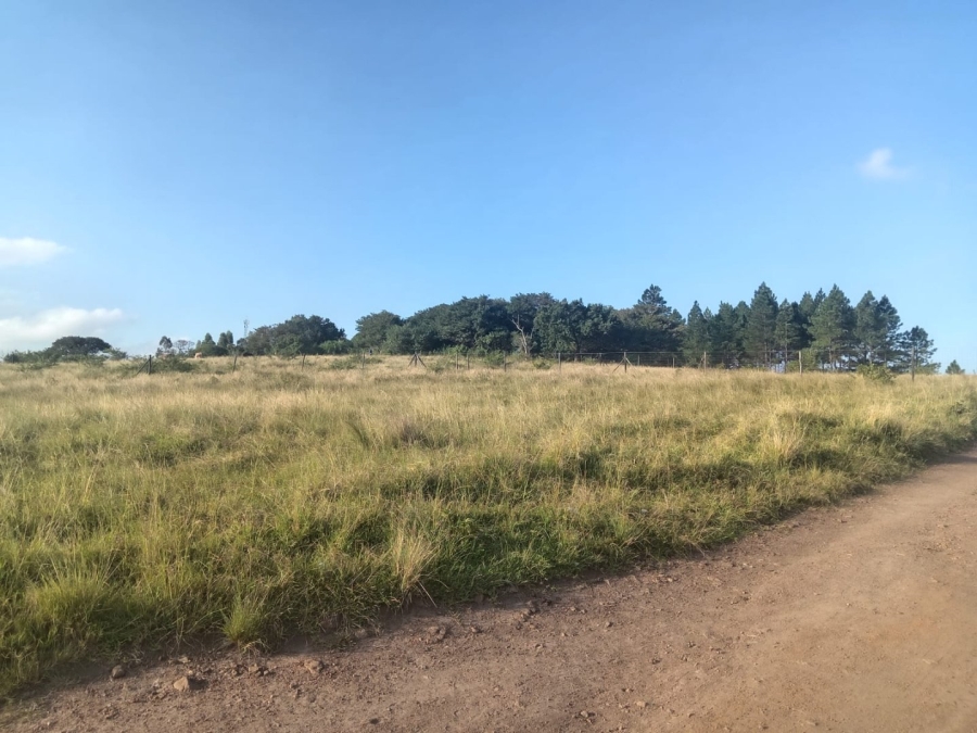Commercial Property for Sale in Ongoye KwaZulu-Natal