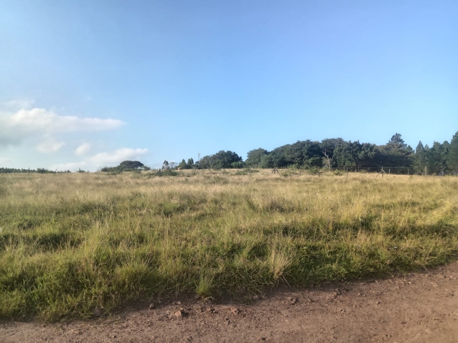 Commercial Property for Sale in Ongoye KwaZulu-Natal