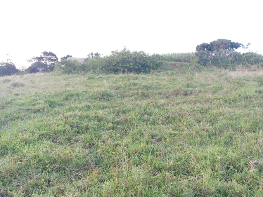 Commercial Property for Sale in Ongoye KwaZulu-Natal
