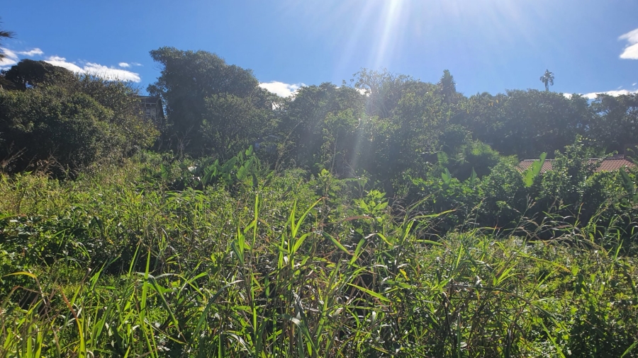 Commercial Property for Sale in Ivy Beach KwaZulu-Natal