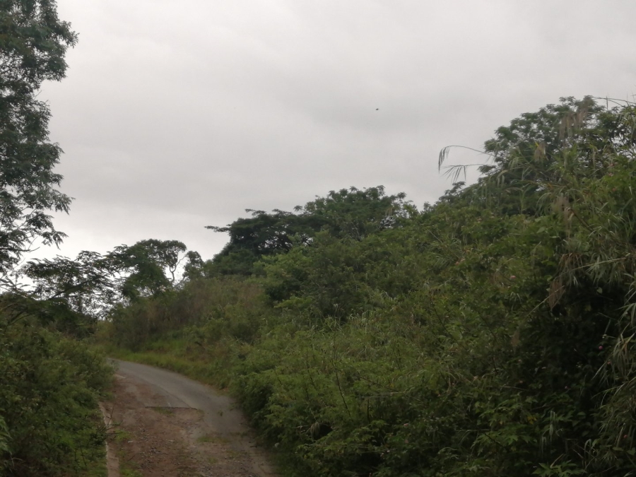 Commercial Property for Sale in Shallcross KwaZulu-Natal