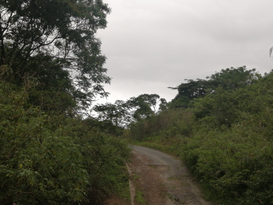 Commercial Property for Sale in Shallcross KwaZulu-Natal