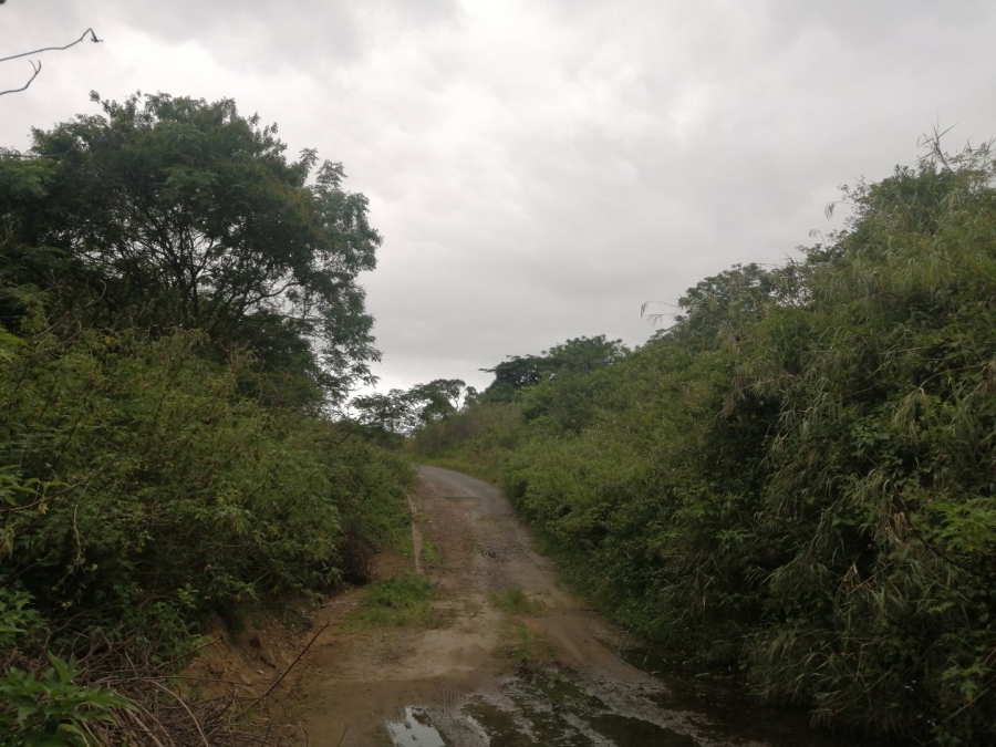 Commercial Property for Sale in Shallcross KwaZulu-Natal