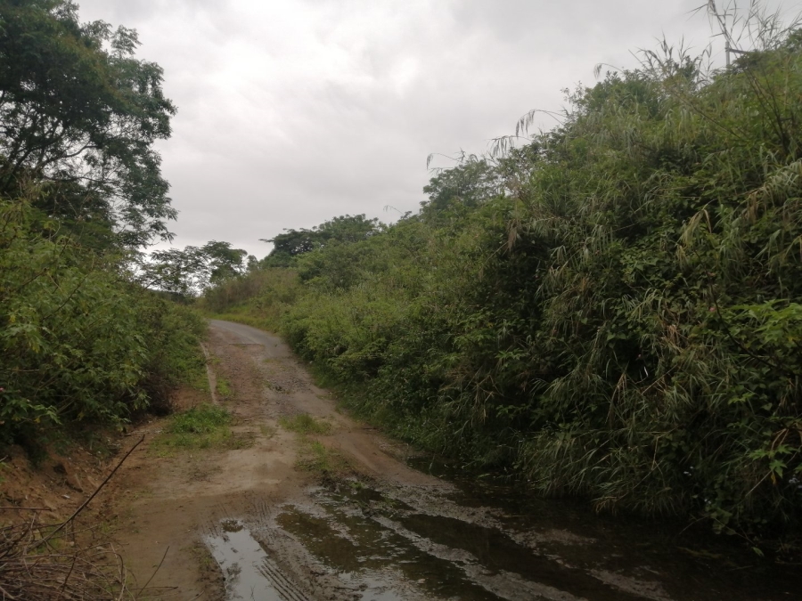 Commercial Property for Sale in Shallcross KwaZulu-Natal