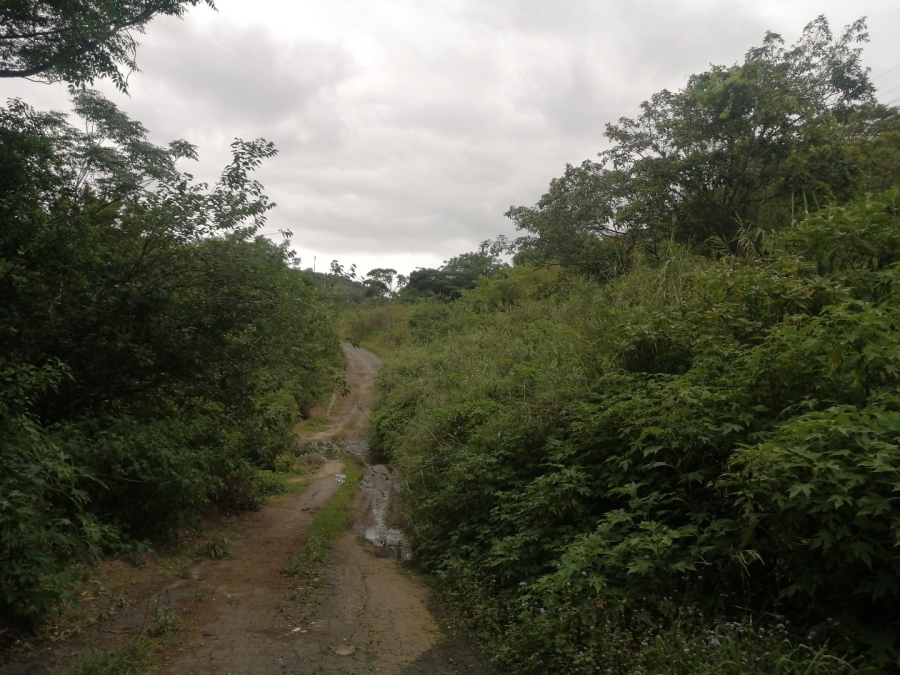 Commercial Property for Sale in Shallcross KwaZulu-Natal
