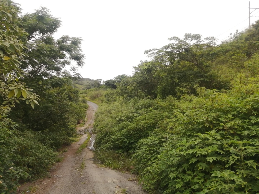 Commercial Property for Sale in Shallcross KwaZulu-Natal