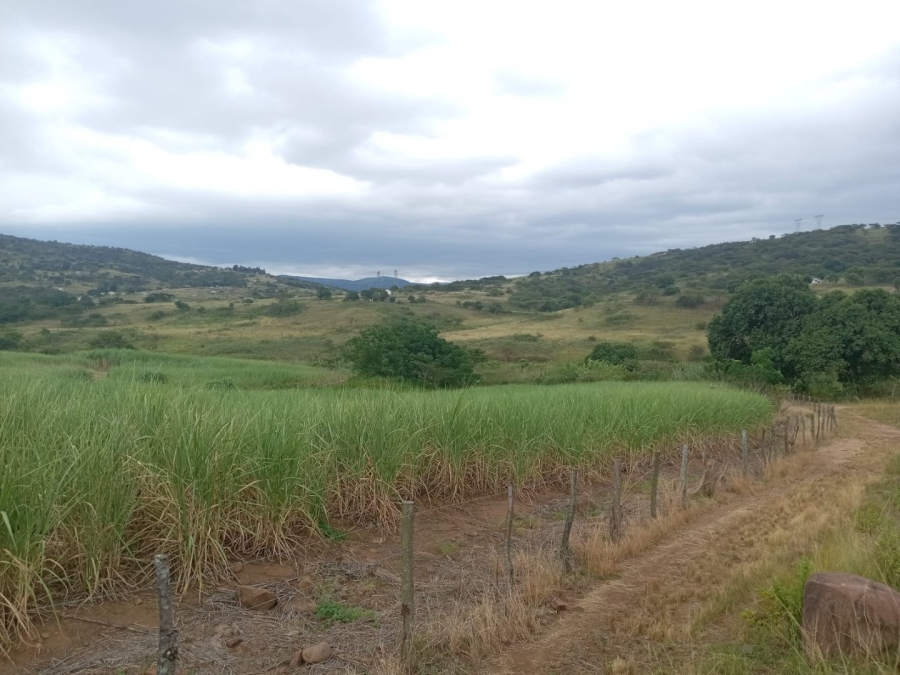 Commercial Property for Sale in Stanger KwaZulu-Natal