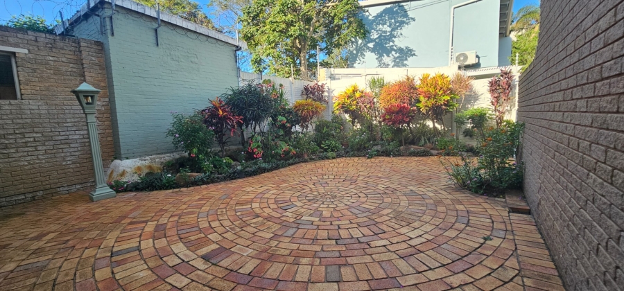 To Let 3 Bedroom Property for Rent in Musgrave KwaZulu-Natal