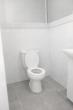 To Let Commercial Property for Rent in Musgrave KwaZulu-Natal