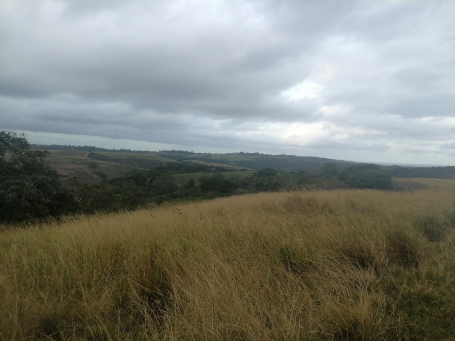 Commercial Property for Sale in Port Shepstone KwaZulu-Natal