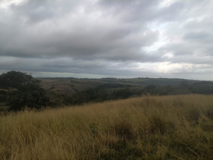 Commercial Property for Sale in Port Shepstone KwaZulu-Natal