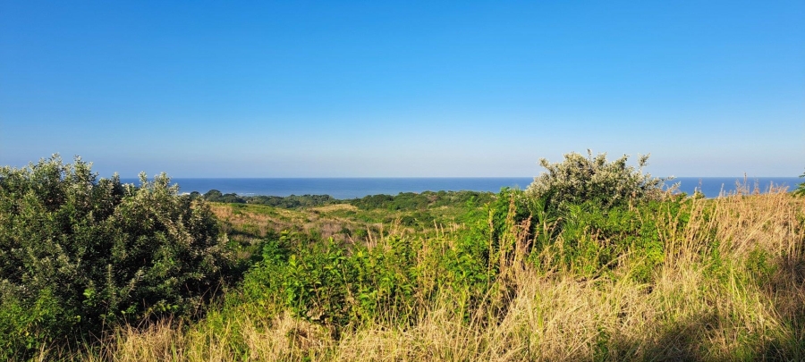 Commercial Property for Sale in Port Edward KwaZulu-Natal