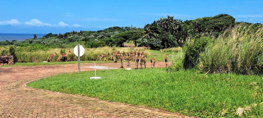 Commercial Property for Sale in Port Edward KwaZulu-Natal