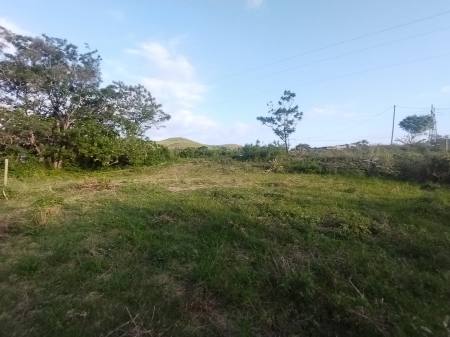 To Let Commercial Property for Rent in Izotsha KwaZulu-Natal