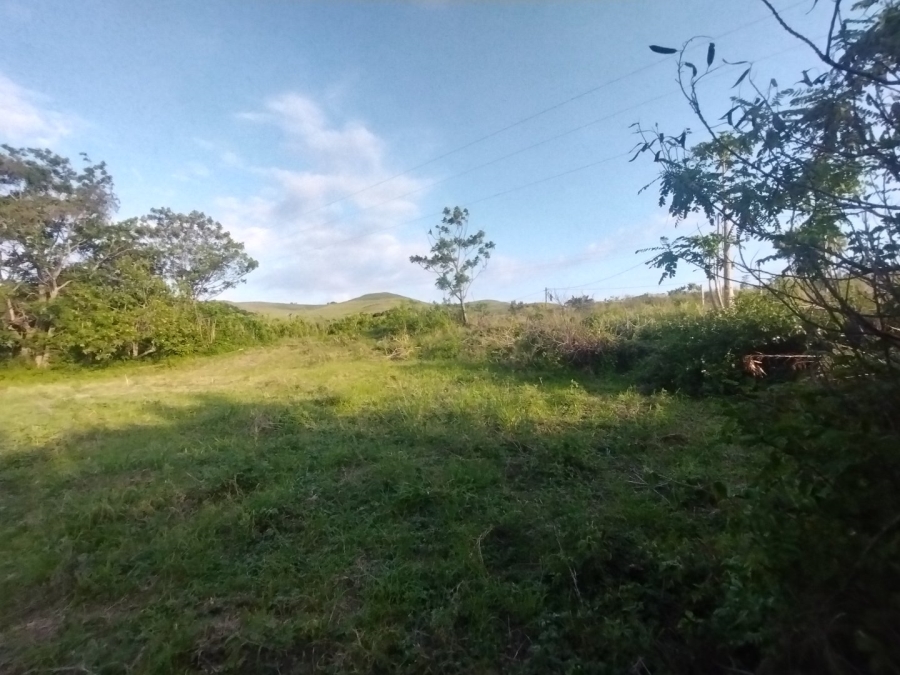 To Let Commercial Property for Rent in Izotsha KwaZulu-Natal