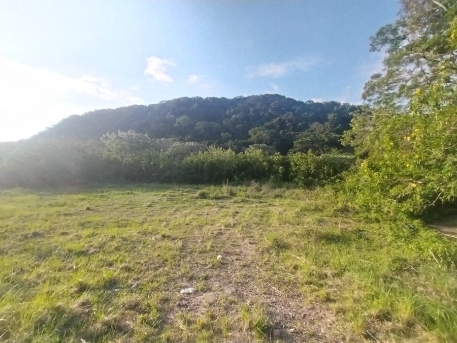 To Let Commercial Property for Rent in Izotsha KwaZulu-Natal
