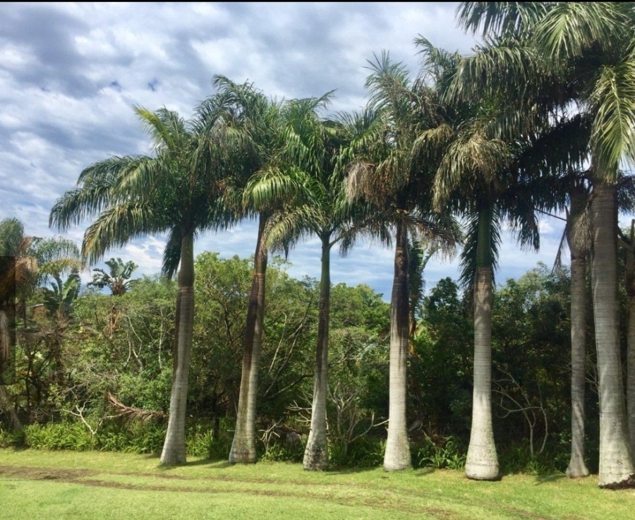 3 Bedroom Property for Sale in Palm Beach KwaZulu-Natal