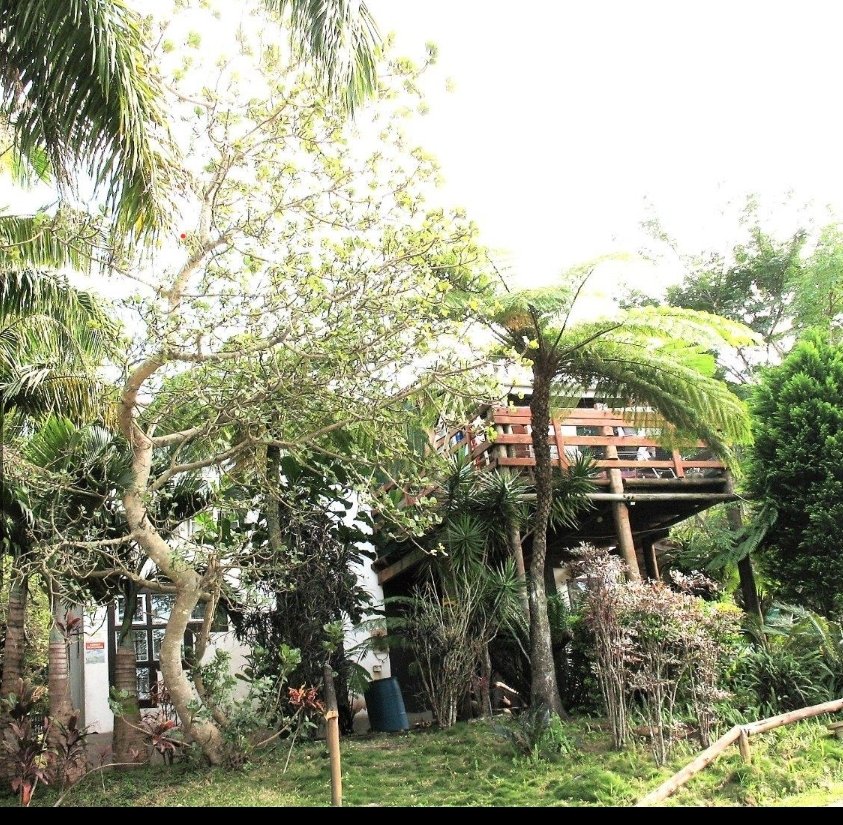 3 Bedroom Property for Sale in Palm Beach KwaZulu-Natal